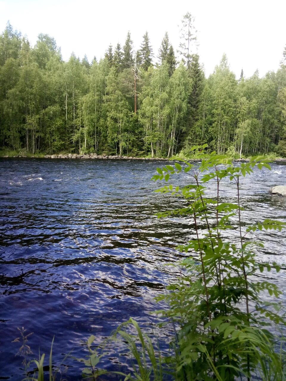 Лесные пожары. Карелия в августе фото. Карелия в августе. Идель карелия поселок фото. Рускеала летом.