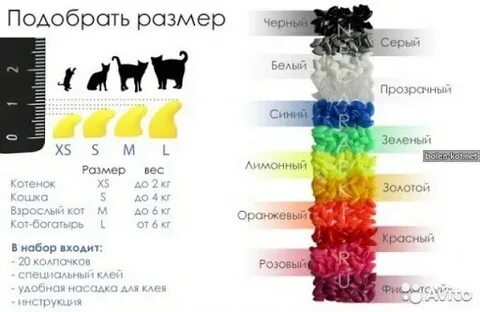Как определить размер кота
