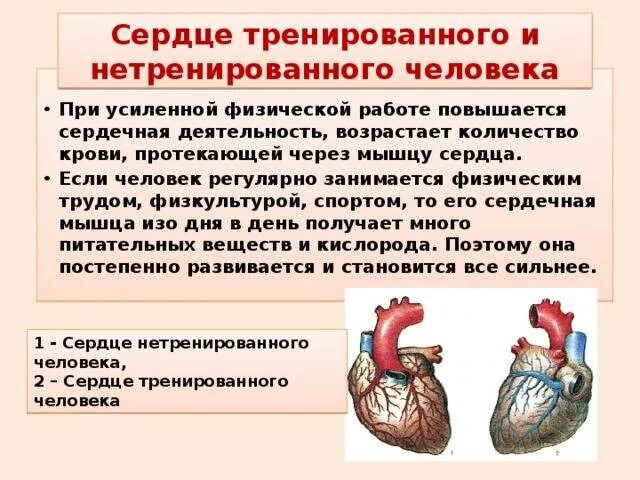 Реакция сердечко