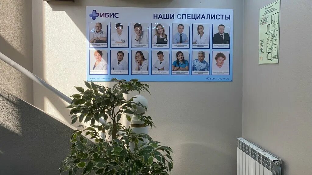 клиника минеева врачи. ибис медицинский центр. ибис медицинский центр. ибис казань медцентр. реабилитационный центр ибис казань.