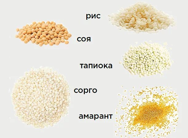Утонуть в сорго. Сорго. рис сорго. крупа из сорго. рис из сорго.
