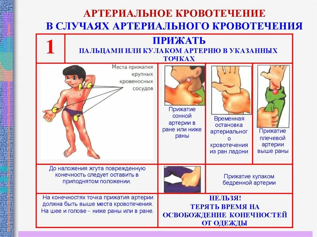 Первая помощь при кровотечениях обж 8 класс. Основные симптомы артериального кровотечения. Артериальное кровотечение клинические симптомы. Признаки артериального крово. Симптомы при артериальном кровотечении.