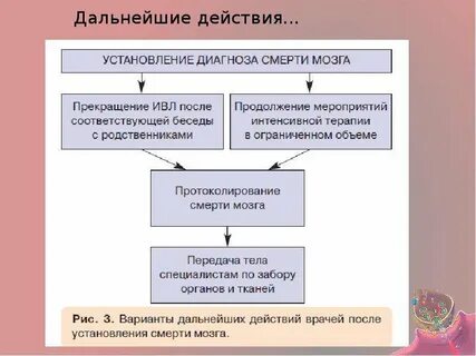 Обсудите дальнейшие действия с капитаном джоунсом