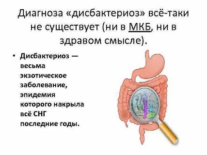 Степени дисбактериоза