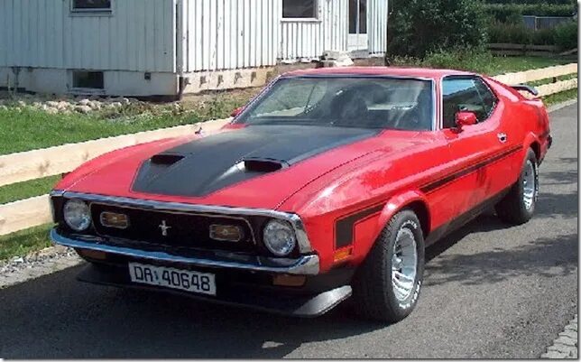 Мустанг жив. Ford mustang gt steeda 2006. Mustang shelby 2012. Мустанг жив. Черный дикий мустанг.