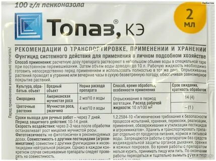 Топаз время обработки