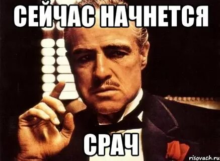 Ну сейчас собралась