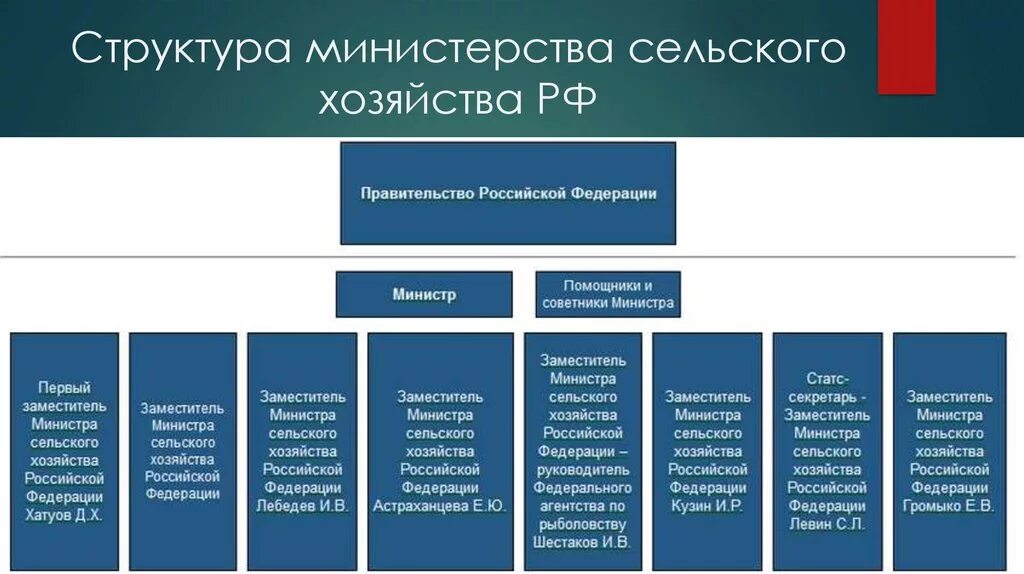 Перечислите министерства рф. Организационная структура Министерства сельского хозяйства РФ. Структура Министерства сельского хозяйства РФ 2020. Структура Министерства сельского хозяйства РФ схема 2022. Структура Министерства сельского хозяйства РФ схема.