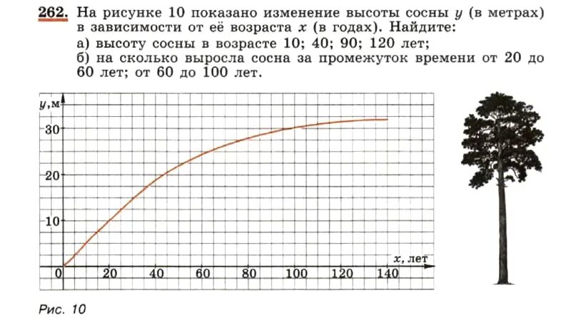 Высота сосны в зависимости от возраста