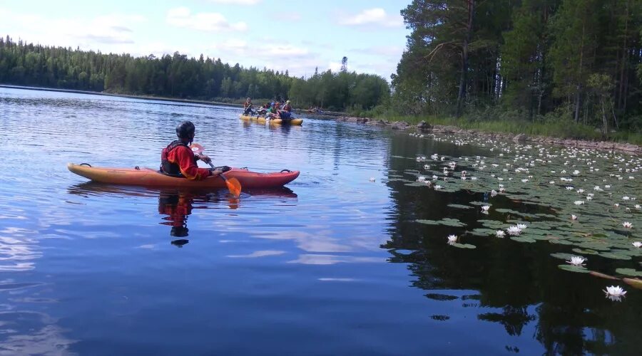 Сплав по реке кереть. Профессор карапуз водная одиссея. Профессор карапуз водная одиссея. Эксклюзив сплав. Водная одиссея.