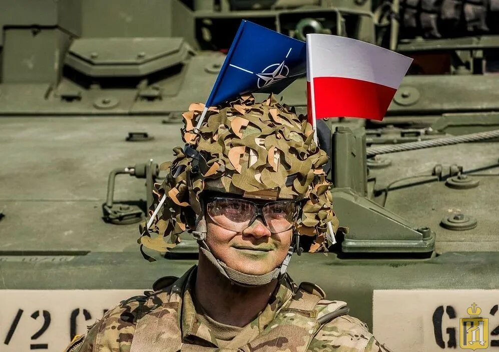 Лучшие армии нато. Польская армия НАТО. Войска НАТО В Польше. Смешной польский военный. Польские военные на Украине.