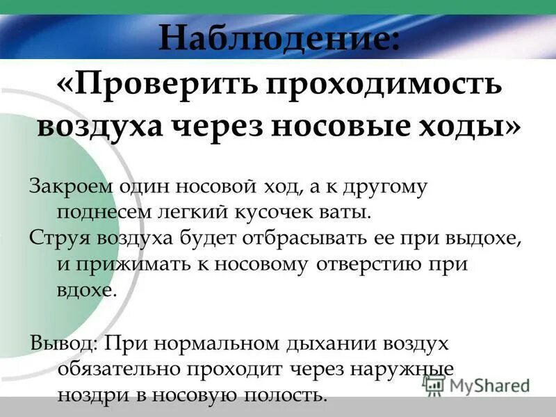 Дыхание через нос схема. Средний носовой ход расположен между. Симпатомиметики препараты. Вывод о проходимости носовых ходов. Проверка проходимости носовых ходов.