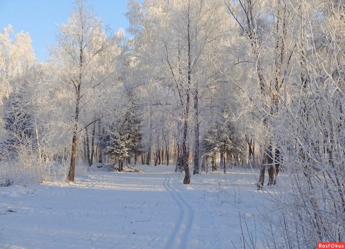 лесная поляна садгород. пансионат лесные дали одинцовский район. лесные дали новый год. лесные дали управления делами президента рф. санаторий лесные дали.