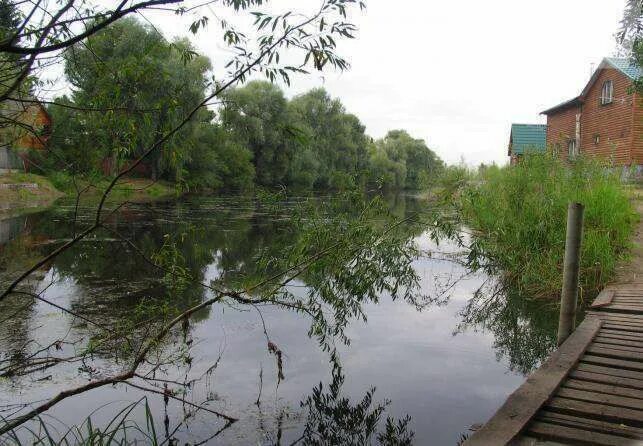 Ельцовка Алтайский край. Ельцовка (Ельцовский район). Ельцовка Новосибирск. Ельцовка Сибирь. Прогноз ельцовка алтайский край