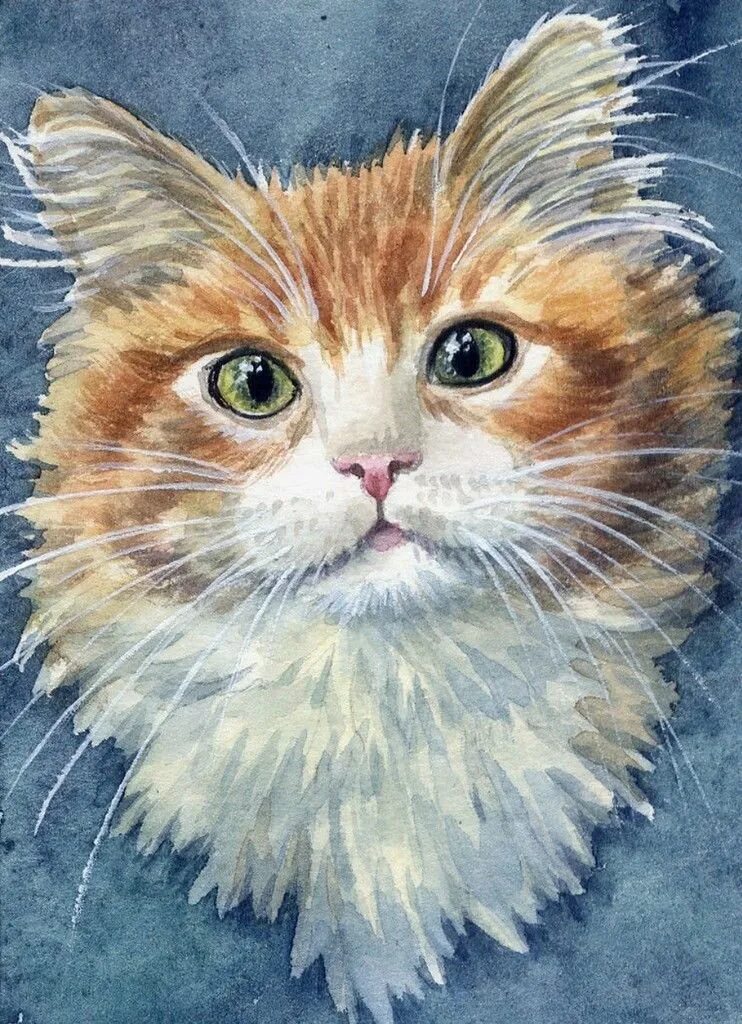 Кот гуашью. Акварельные котыамериканская художница elena mezhibovsky. котик гуашью. кот акварелью. мордочка кота акварель.