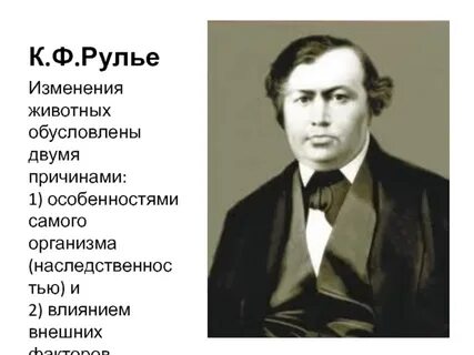 Себастьян рулье