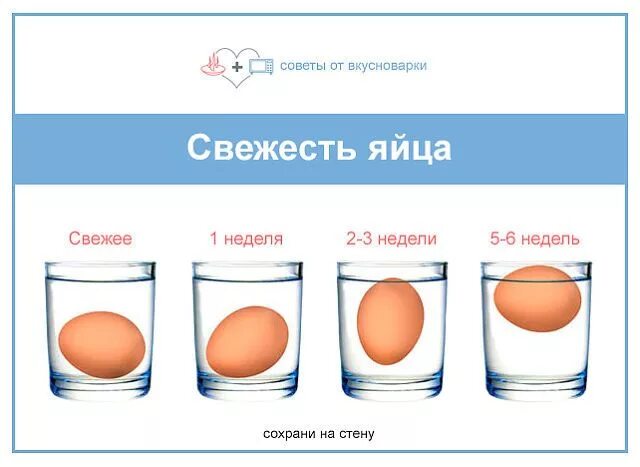 Определить свежесть яиц. Проверка яиц на свежесть. Свежесть яиц в воде. Свежесть яиц в воде проверить. Как определить свежесть домашнего яйца