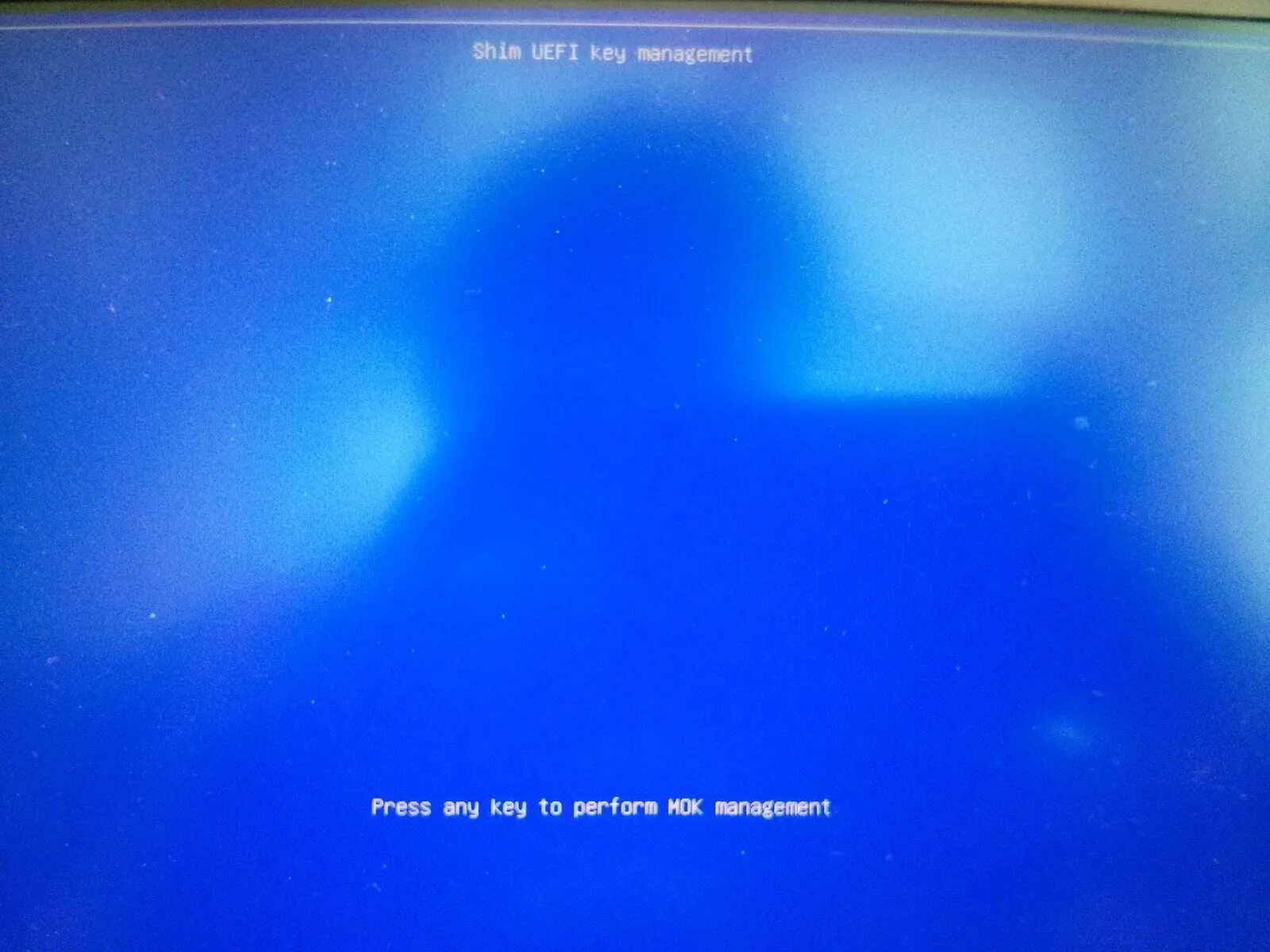 Please any key. Press any key to continue.