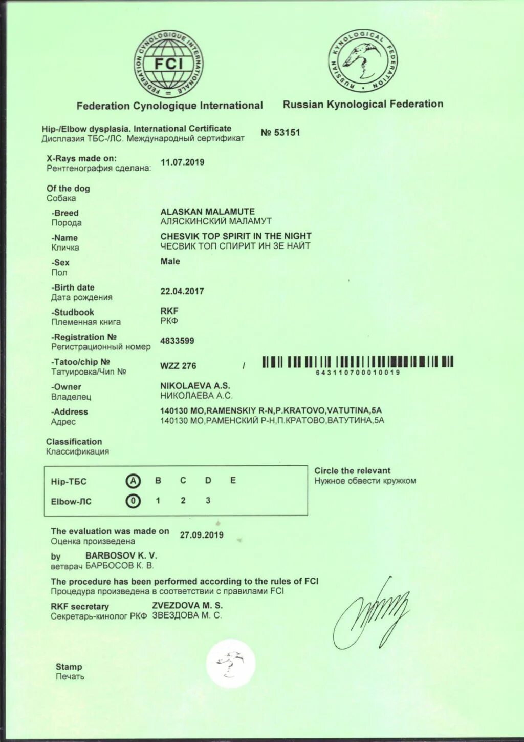 Топ ркф. Ркф дисплазия. сертификат о дисплазии у собак.