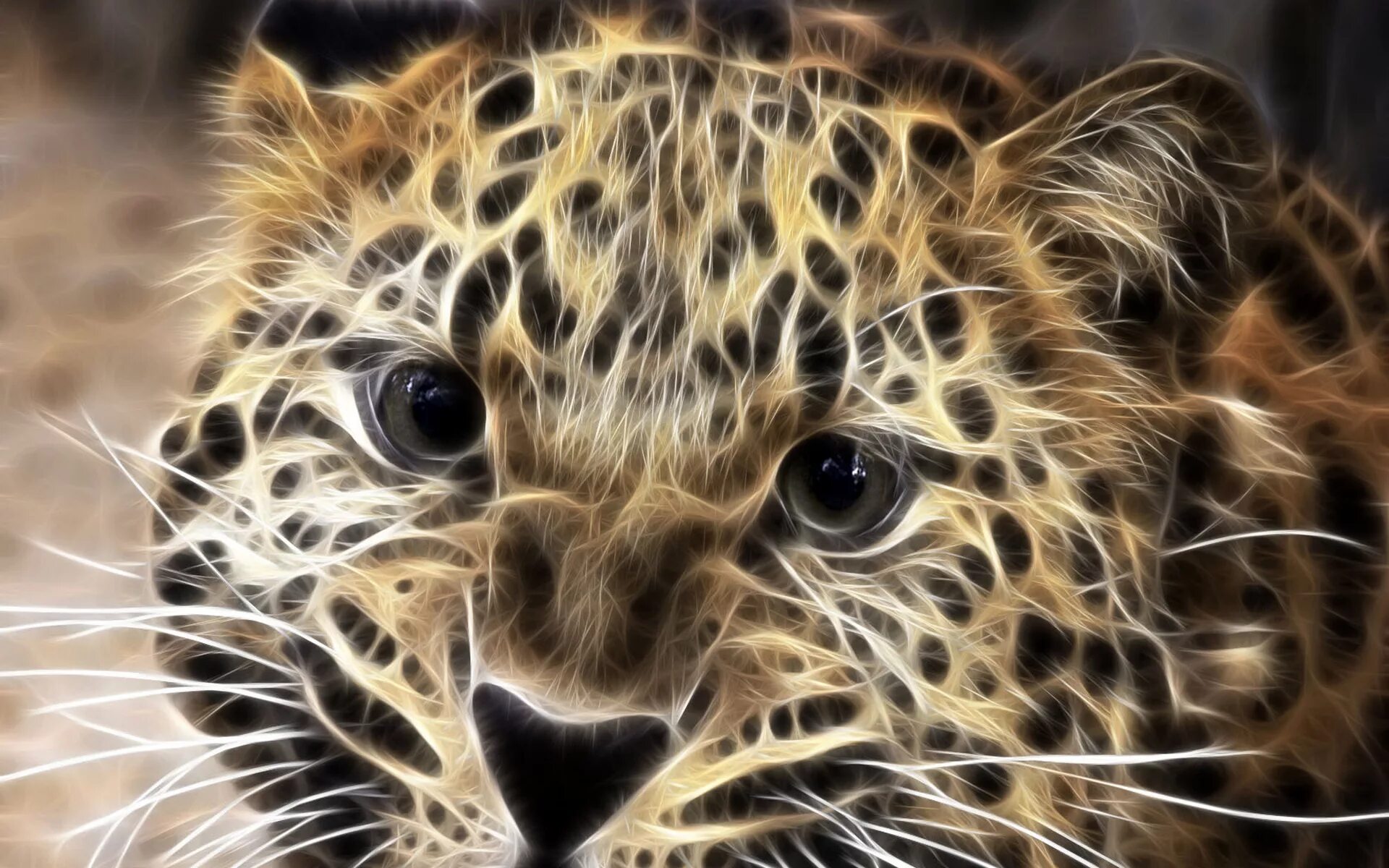 Леопард обои. Обои на телефон животные. Красивые картинки животных на аватарку. Красивые рисунки на телефон.