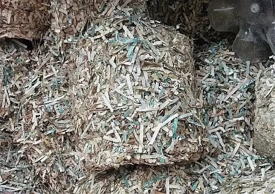 Хлопок гниёт в хранилище. Брикет денег. Уничтожает деньги. Утилизация денег. Уничтожение денег.