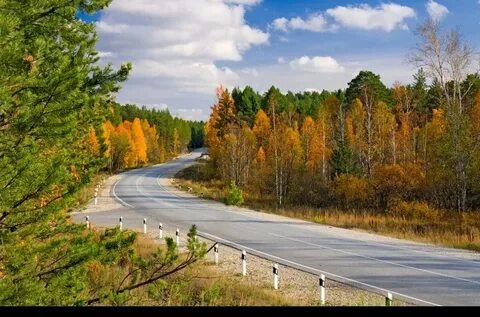 Осенняя дорога домой