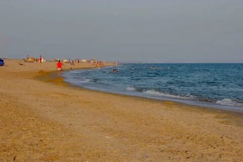 Благовещенская станица гвоздика