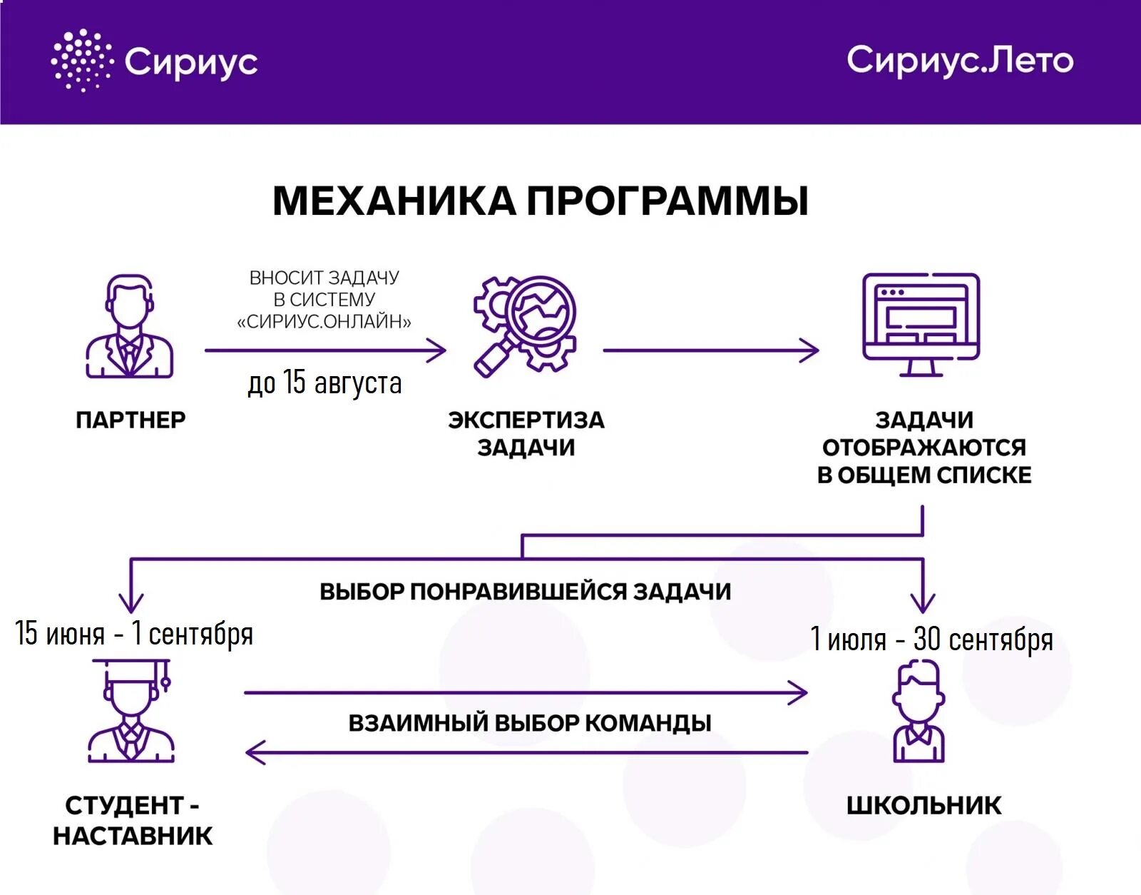 Программа sirius. Сириус лето. программа сириус. сириус лето 2025. сириус лето проекты.