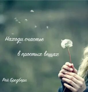 Счастье в простом цитаты