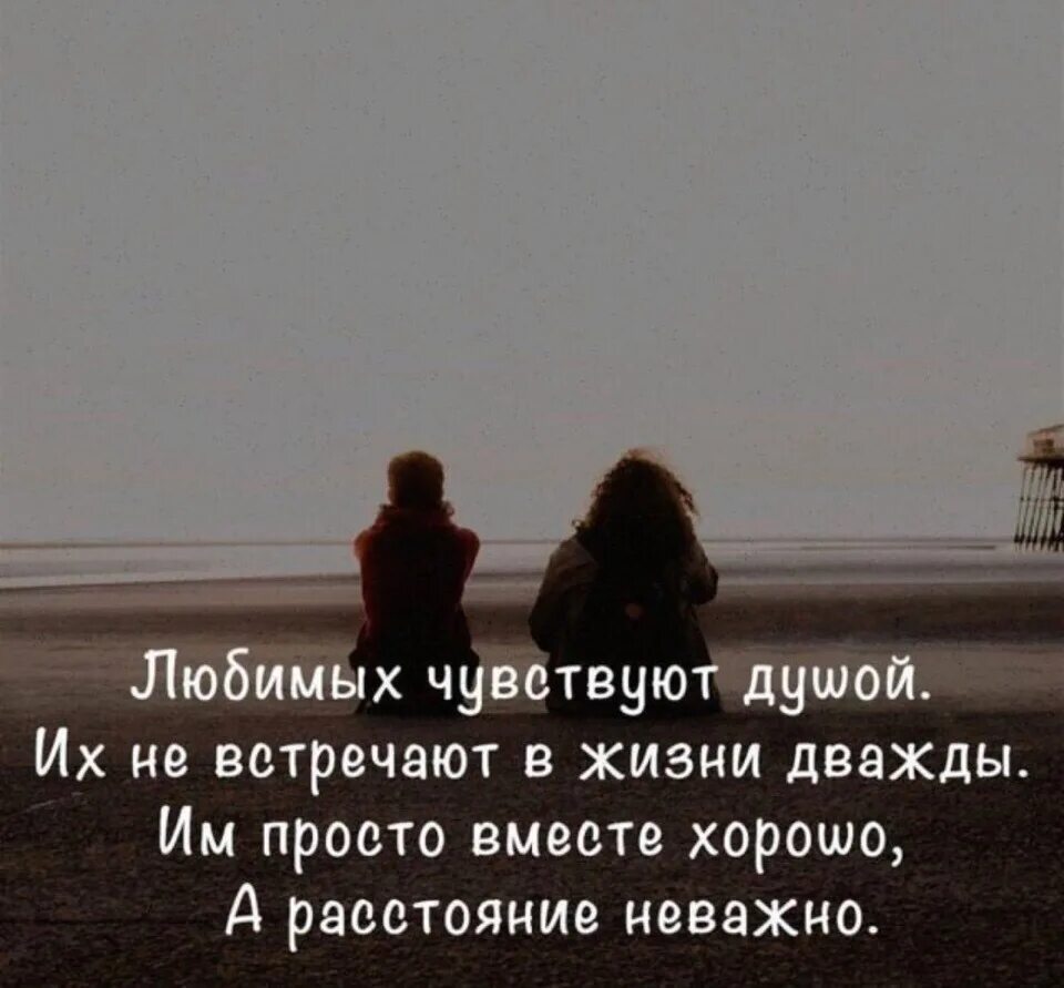 Родственная душа это ведь навсегда дважды в жизни её не встретишь. Я встретила тебя. Афоризмы о встрече. Скам надпись на стене нуры. Теория заговора прикол.