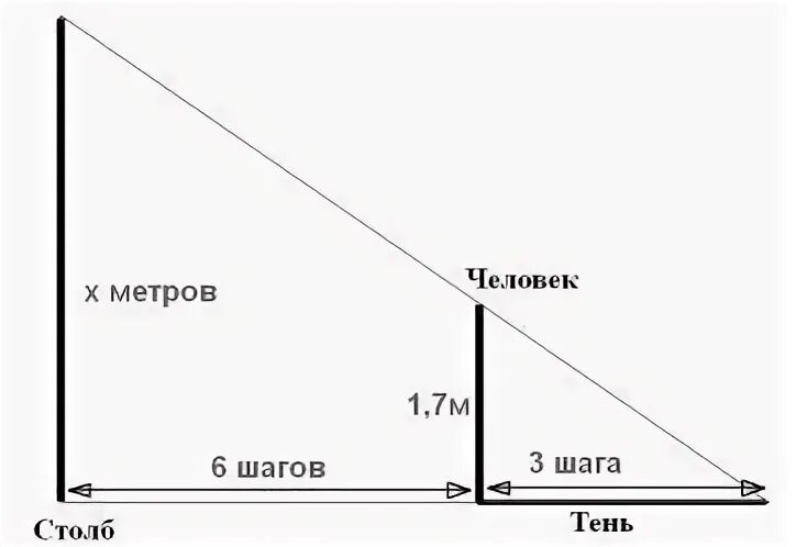 На расстоянии 7 м и. Тень от столба. Тень от 2х метрового забора. 5 Метров в высоту. Длина тени.