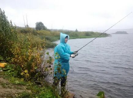 Щука в дождь осенью