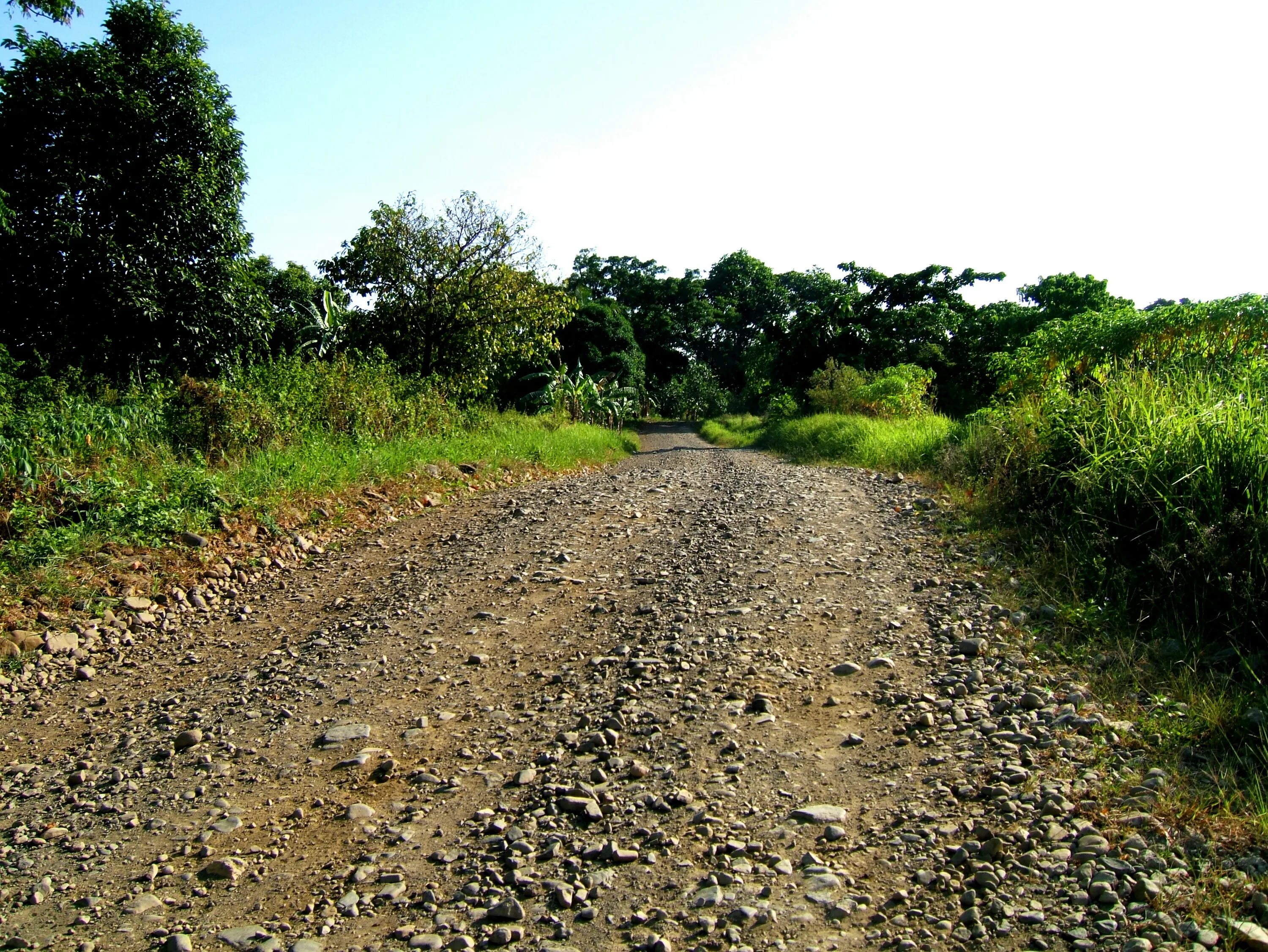 Rock road