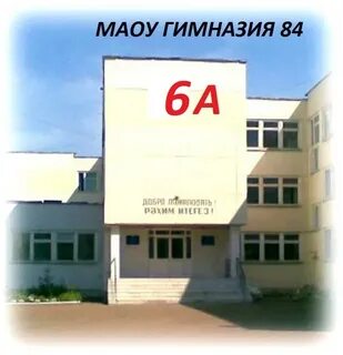 Гимназия 84