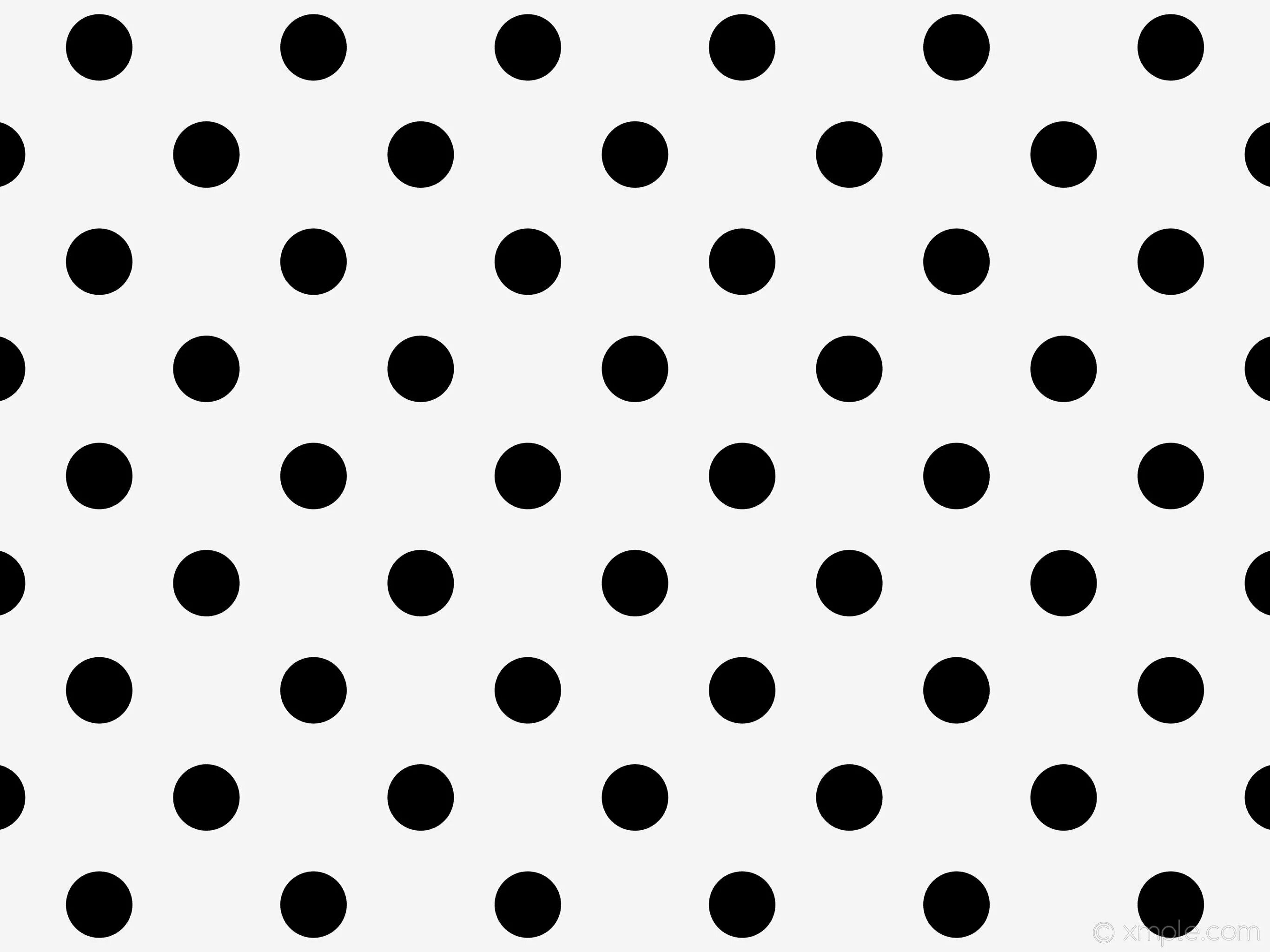 Polka dot перевод