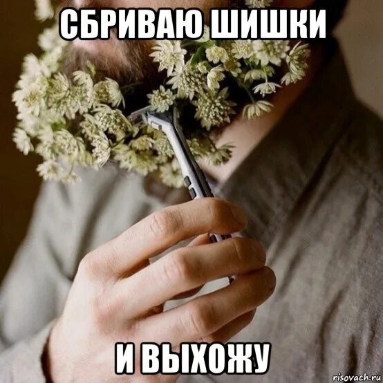 Мем шишка. Шишка мем. с днём шишки мем. шишка созревает мем. до созревания шишки мем.