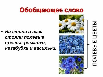 Слово полевей