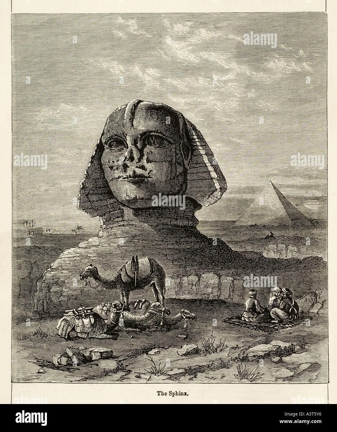 Сфинкс страж. Сфинкс египет 1860. сфинкс египет гравюра. египетский сфинкс гравюры. сфинкс старинные гравюры.