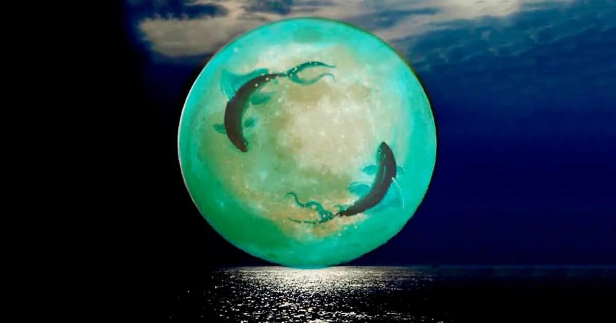 новолуние в рыбах. рыба луна. луна гороскоп рыб. полнолуние в рыбах. знаки зодиака "рыбы".