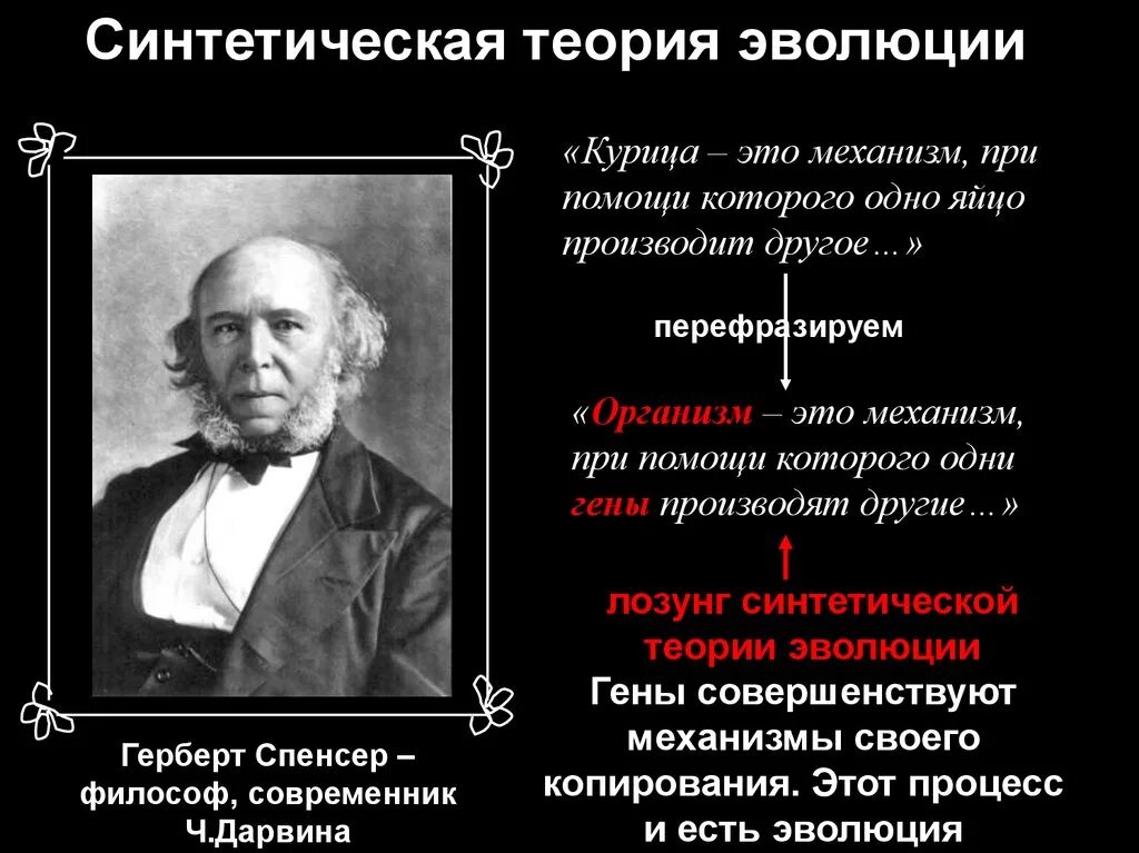 Герберт Спенсер теория. Эволюция Герберта Спенсера. Синтетическая теория эволюции. Синтетическая теория эволюции это теория. Ученые современной теории эволюции