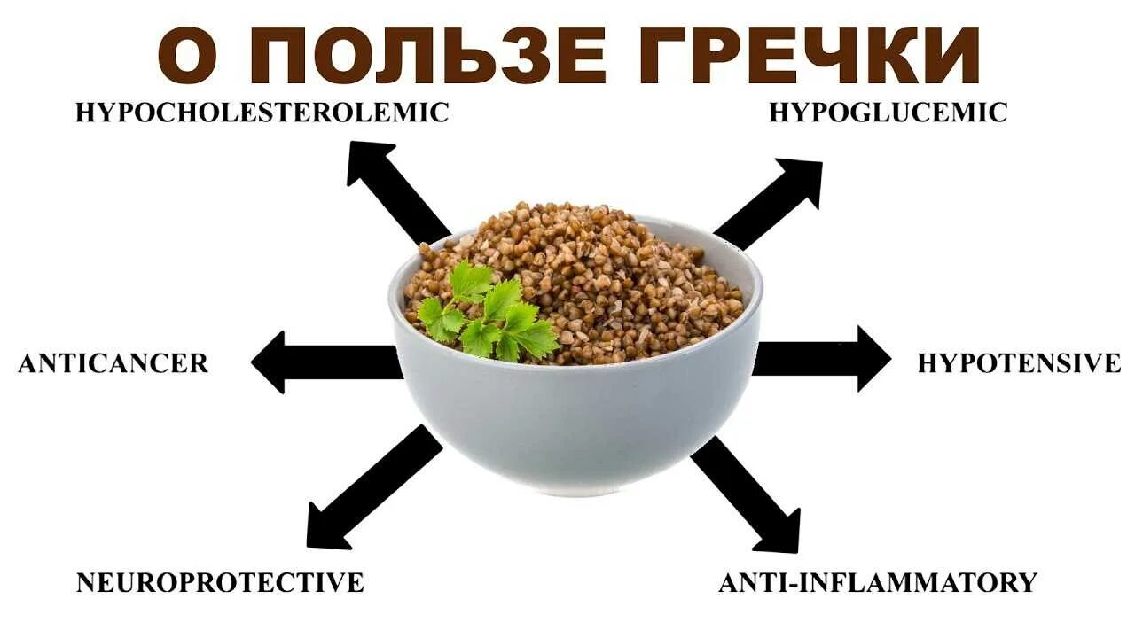 Чем вредна гречка для организма