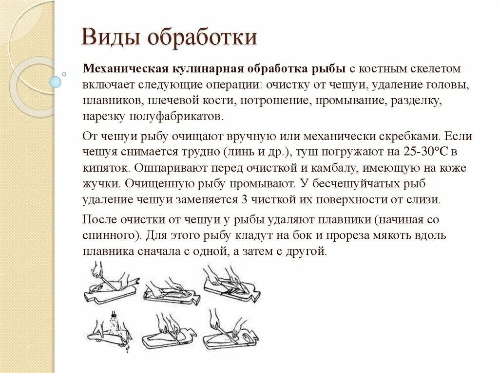 Обработка с костным скелетом. Механическая обработка рыбы с костным скелетом. механическая кулинарная обработка рыбы с костным скелетом. способ обработки игрушек. обработка обработка игрушек.