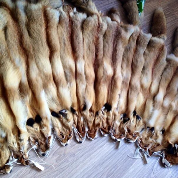 Выделка шкуры норки. Шапка из енотовидной собаки. Скупка пушнины. Пушнина соболь. Выделанные шкурки песца.