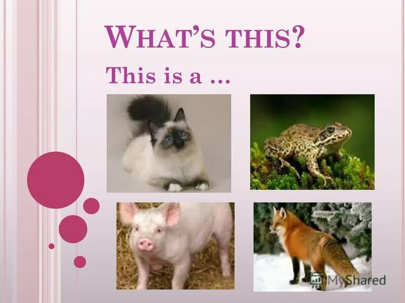 The names. Y name is. My name is картинка. My name is картинка. Слим шэди my name is.