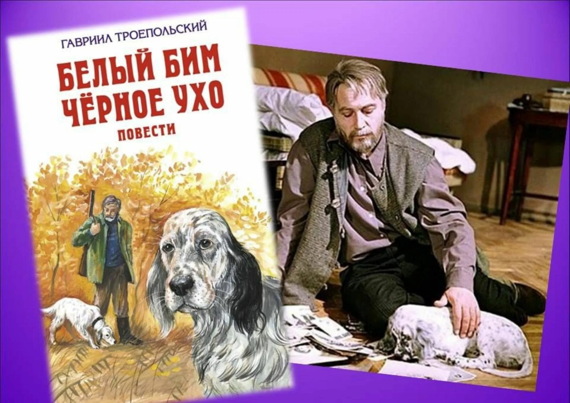 Бим черное ухо слушать. Г н троепольский белый бим черное ухо. троепольский белый бим черное ухо книга.