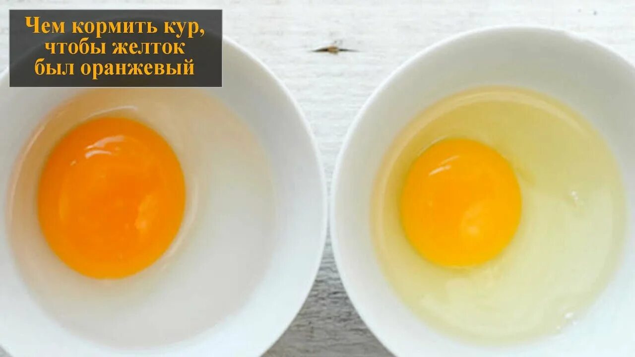 Желток куриного яйца. Куриный белок. Цвет желтка. Желтые белки у яиц. Желток куриного яйца.