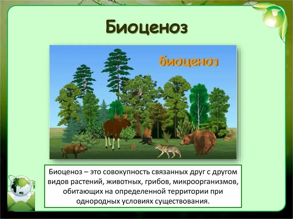 1 биоценозом называют. Биоценоз это в экологии. Биоценоз презентация. Понятие биоценоз. Биоценоз это в биологии.