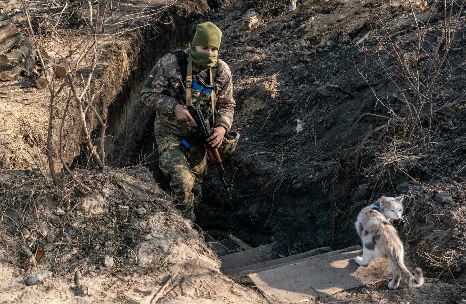 Военные в траншеи на Донбассе. Животные на войне в Донбассе. Боевые действия сегодня рутубе