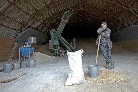 Село николо александровское ставропольский