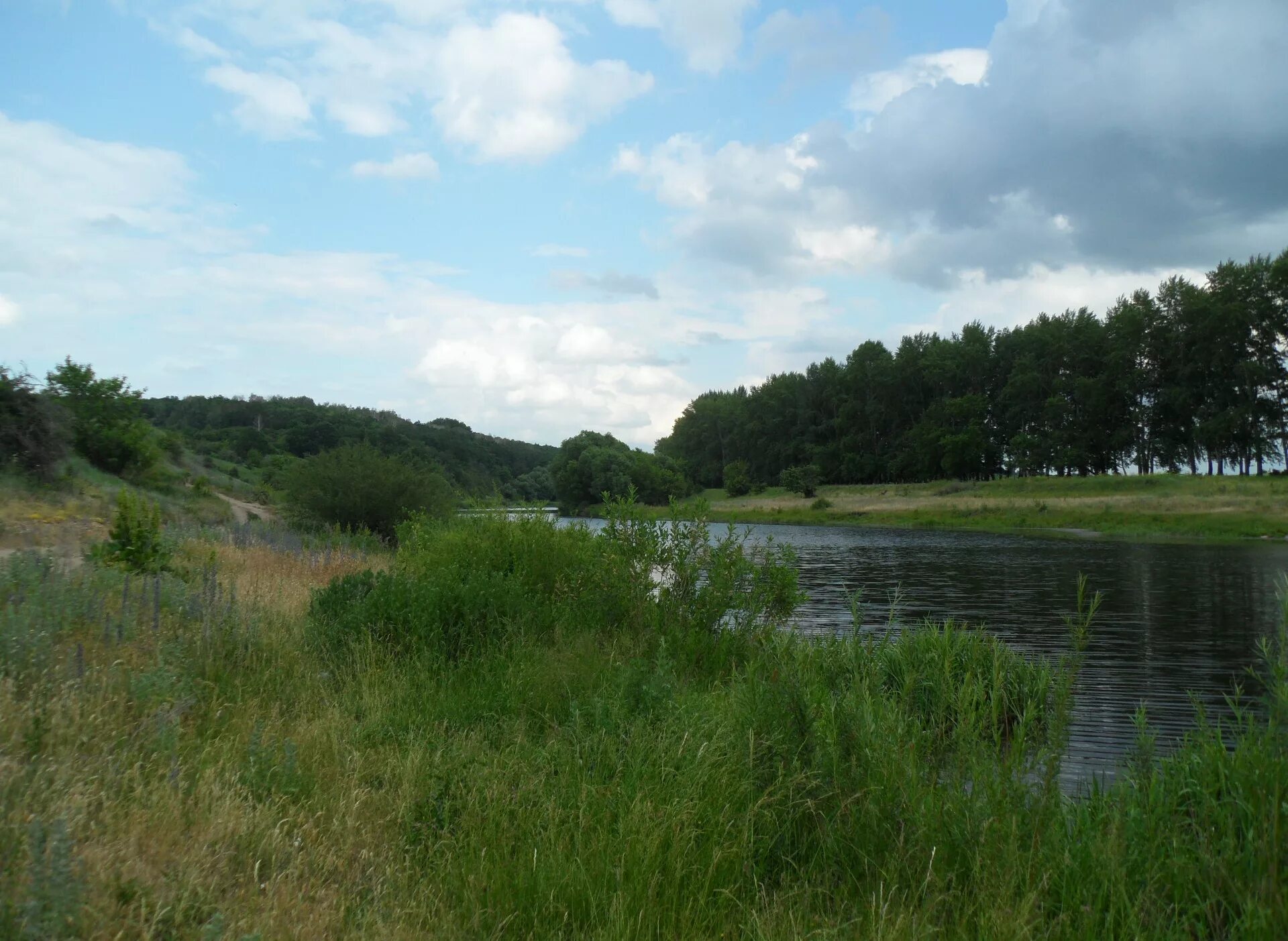 Погода село борки. Село Борки Тербунского района Липецкой области. Малые Борки Тербунский. Деревня Борки Тербунский район. Пруд Нагорное Тербунский район.